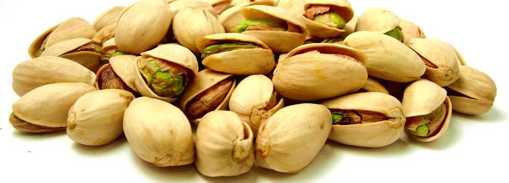 Pistachio Export Earnings