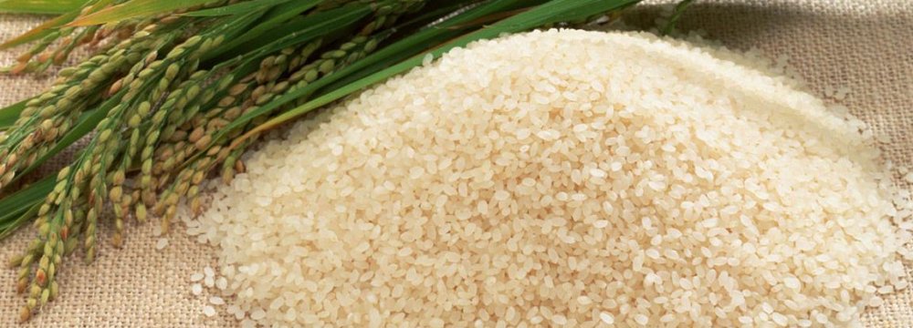 ‘No Rice’ Import This Year