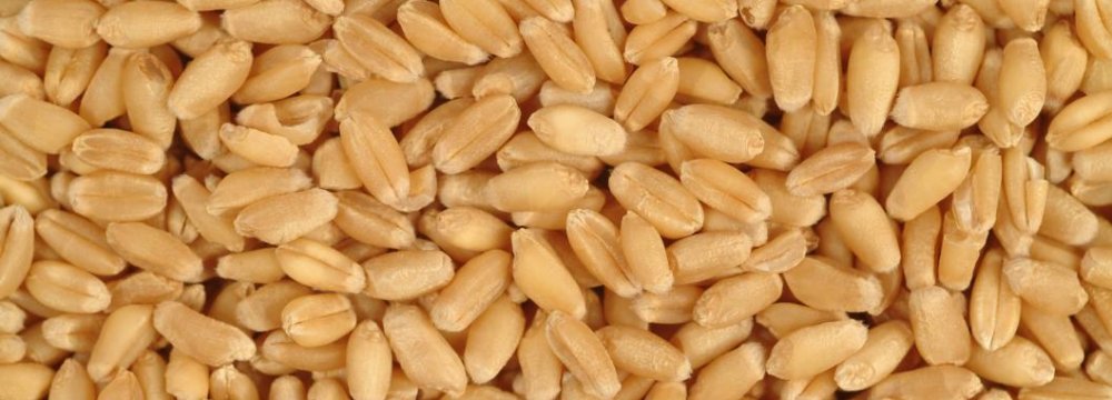 Wheat Imports