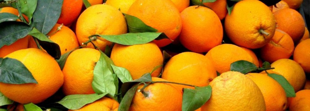 Warning Against Contraband Oranges