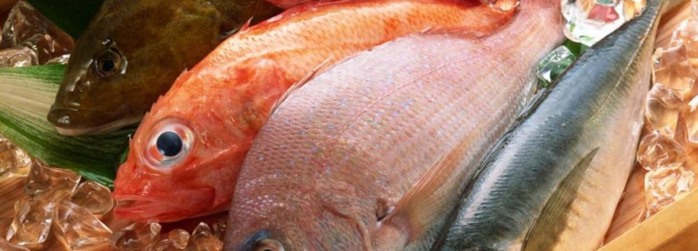 Seafood Export Target: $350m By Yearend