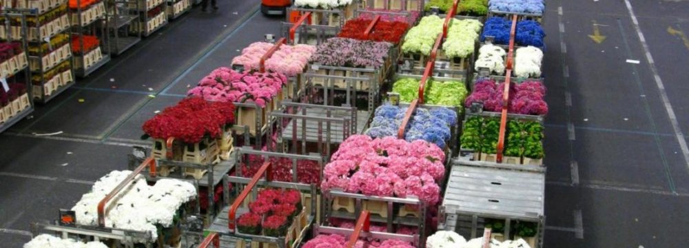 Flower Exports