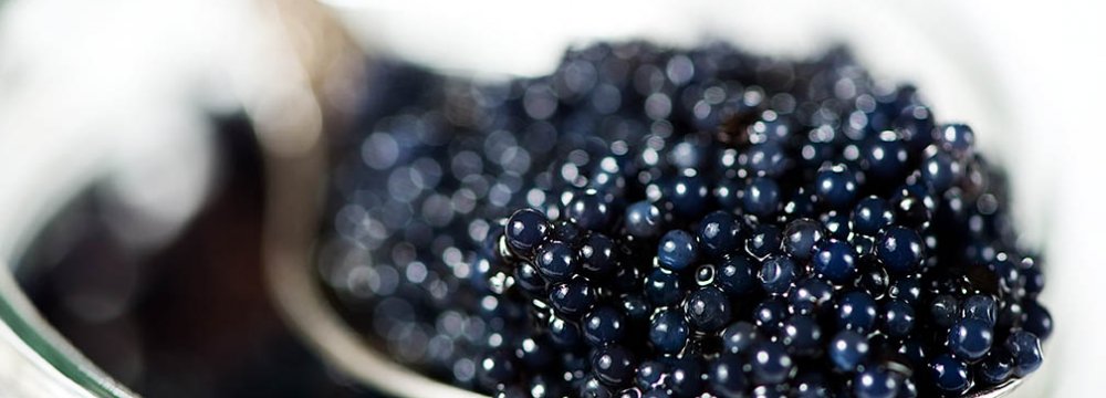 Caviar Exports Improve