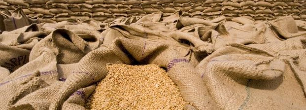 Plan to Produce 11m Tons of Wheat