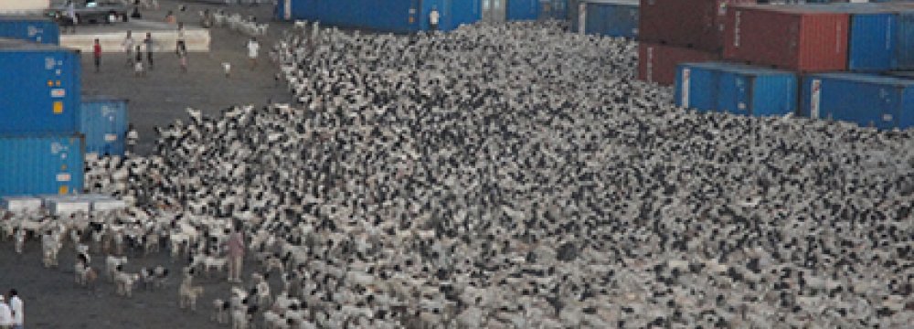 Livestock Export Tariff Eliminated