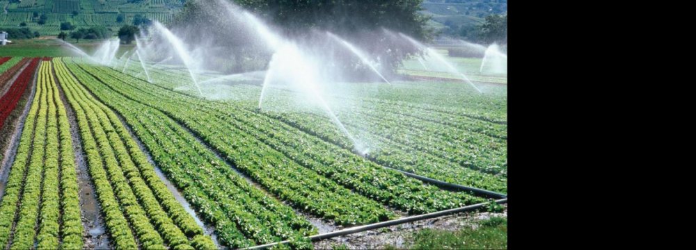 Agro Sector Will Get Less Water
