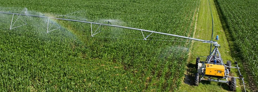 Irrigation Reform  to Help Revive Farming