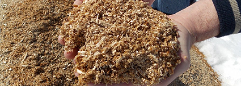 Sawdust Converted Into Gasoline