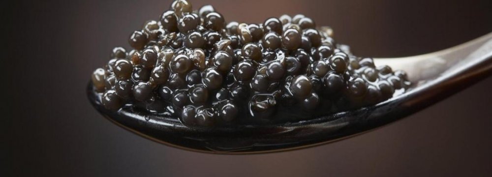 Caviar Production Problem