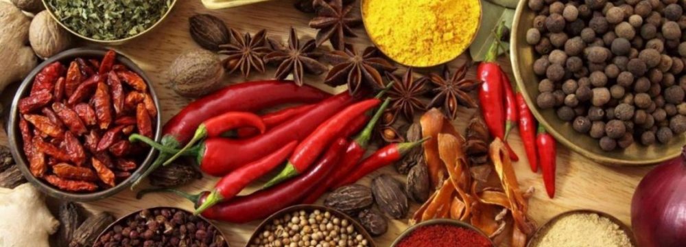 Investment Opportunities Series: Setting Up Spice Production Line