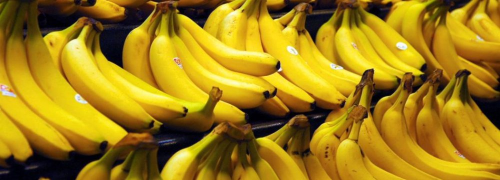 Philippines Scrambles to Meet Iran’s Demand for Bananas