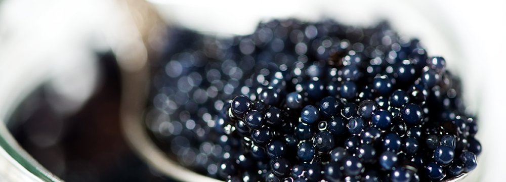 Iranian Caviar Gears Up for Strong Comeback