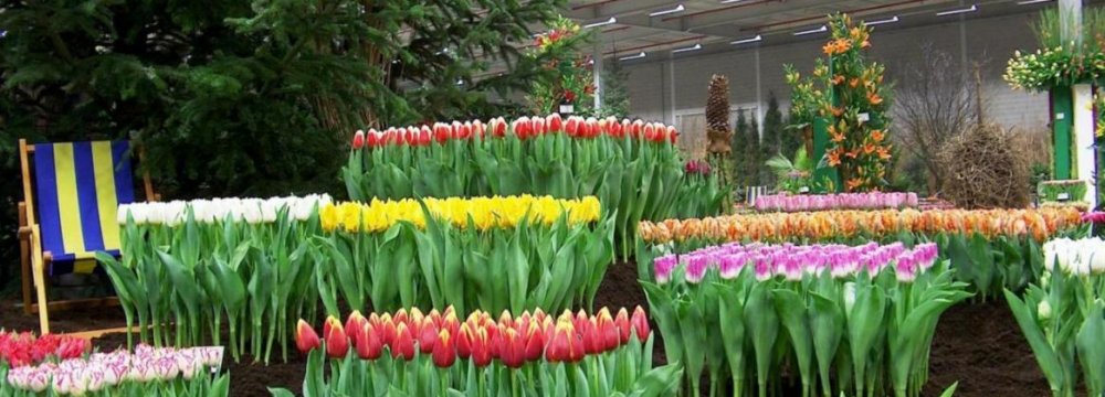 Flower Cultivation, an Enchanting Business Opportunity