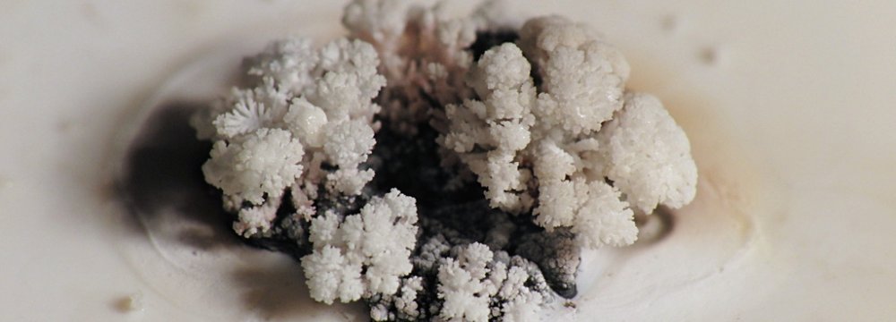 Lithium Deposits Discovered