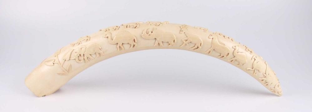 EIA: African Ivory Smuggled on Chinese State Visits