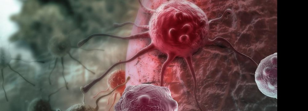 Cancer Increase Cause  for Great Concern