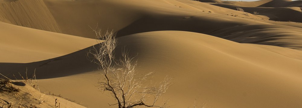 Lut Desert for World Heritage List