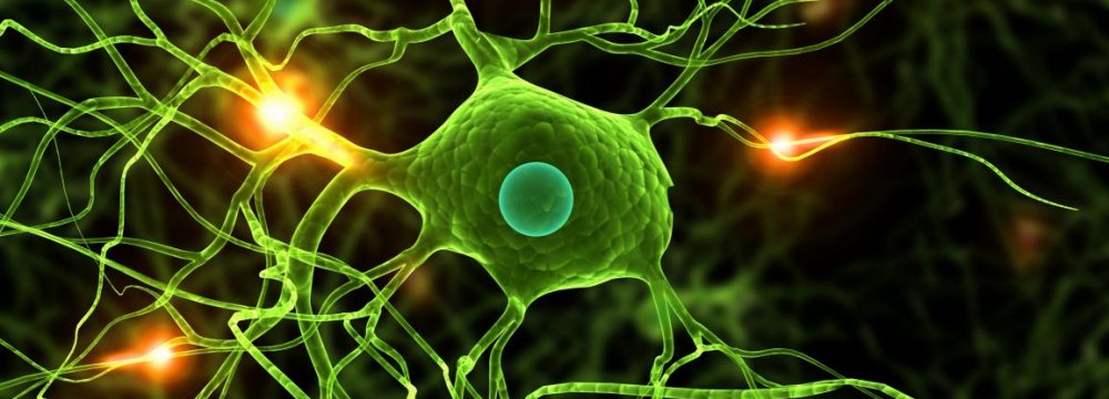 Stem Cell ‘Breakthrough’ in Parkinson’s Disease