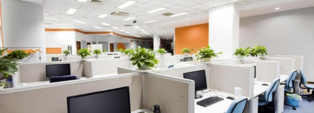 Plants Increase Staff Productivity