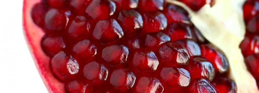  Semnan to Hold First Pomegranate Festival 
