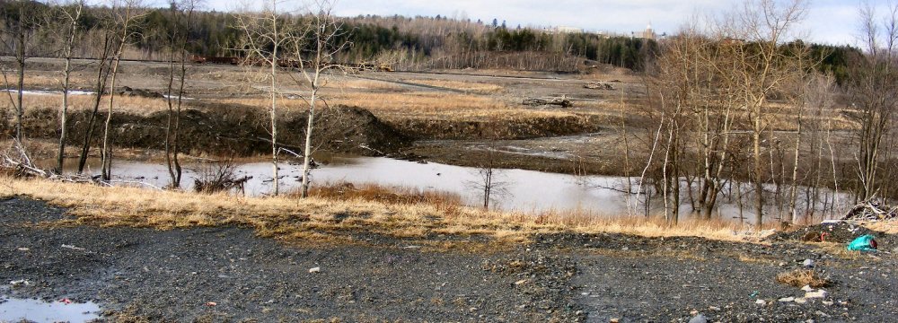 Steps to Tackle Soil Pollution 