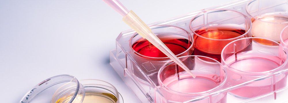 Umbilical Cord Blood in Stem Cell Therapy 