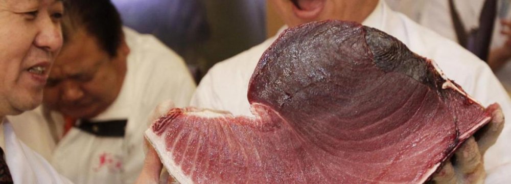 World’s Most Expensive Fish Sold for $1.8m in Japan