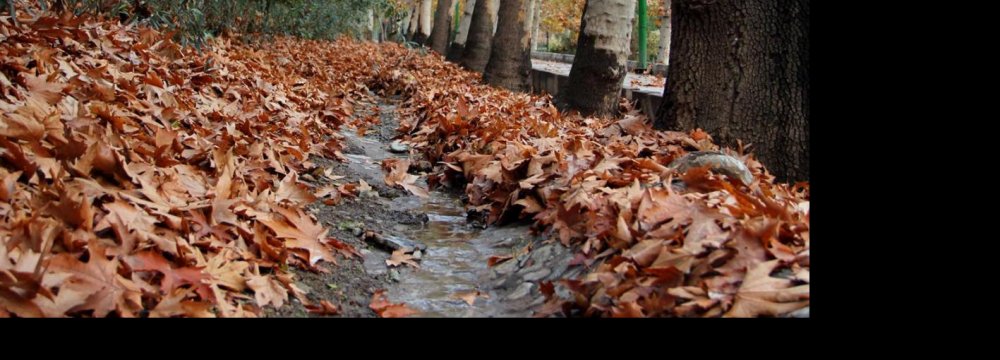 Greening Tehran to Help Improve Air Quality