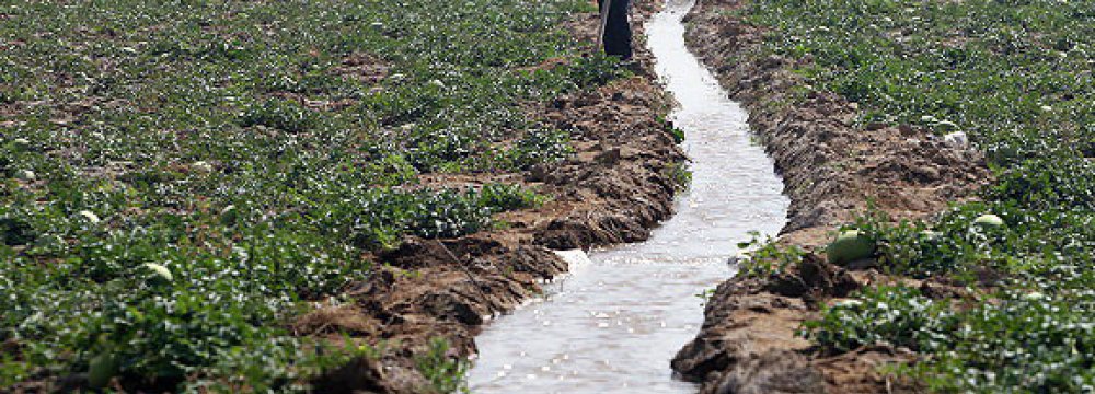 Waste Water Irrigation  a Concern