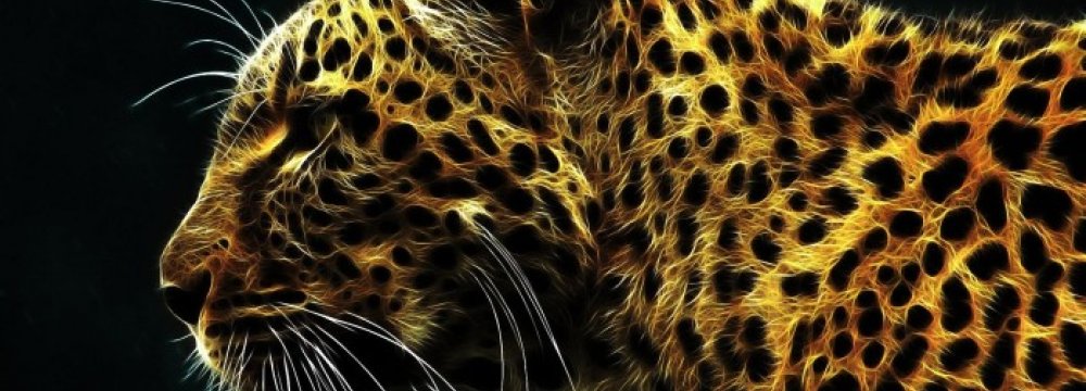 Poacher Jailed for Killing Leopard