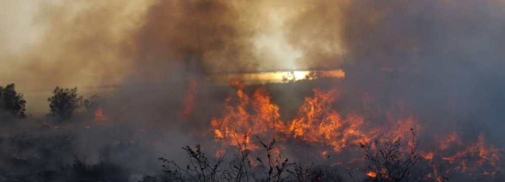 Ashuradeh  Fire Losses