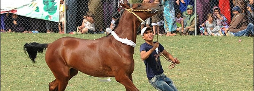 Equestrian Eco-Camp in Sanandaj