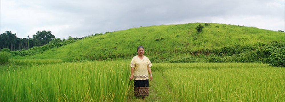 $1b for Farms, Small Businesses