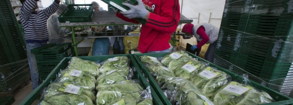 EU Aids Farmers  Hit by Russia Food Ban