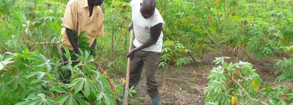 Saudis Expand Agro Role in Sudan