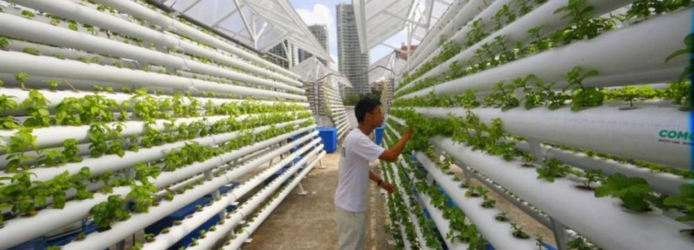 Japan Launches 1st Automated Farm | Financial Tribune