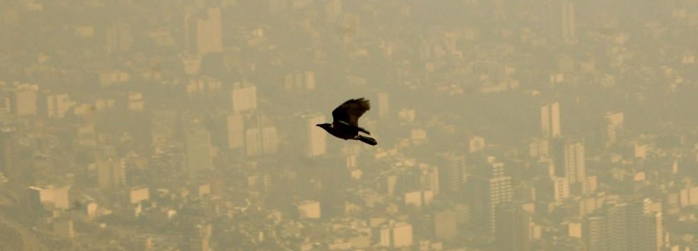 Air Pollution Damaging  to Brains