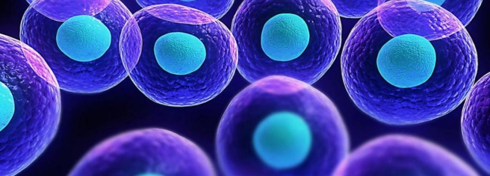 Stem Cell Tech to Help Cure Diseases