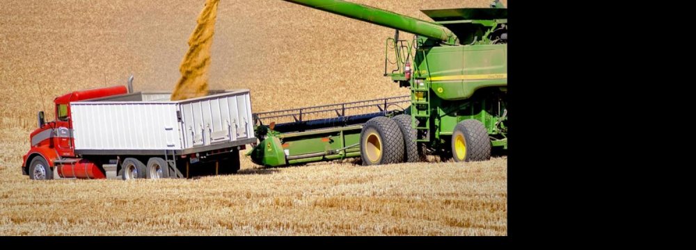 Fears of Wheat Slump Spurs Buying