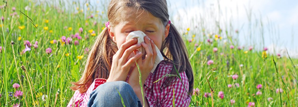 Teaching the Immune System to Prevent Allergies