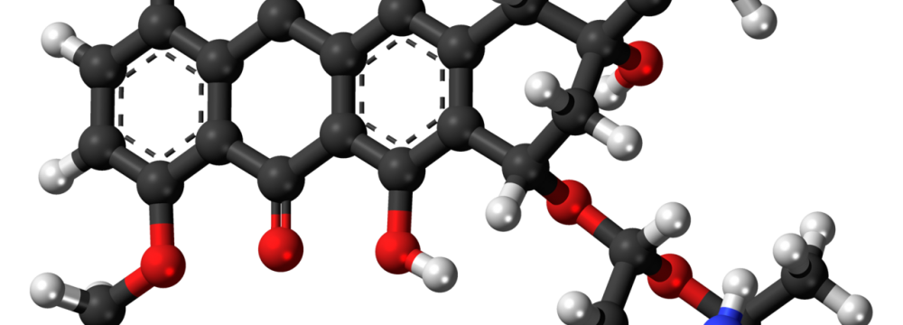 Fertility &amp; Anticancer Drugs