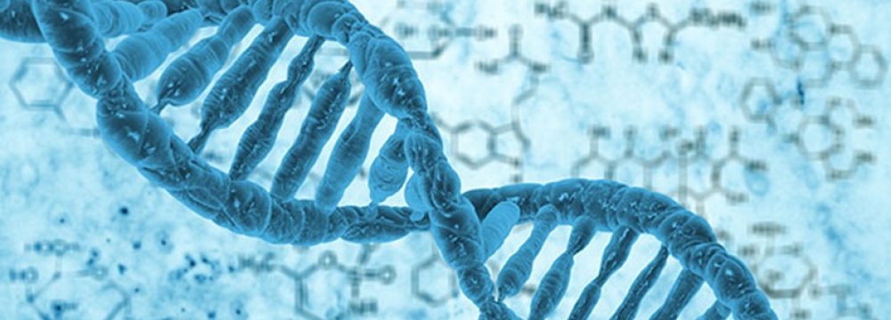 DNA Database 