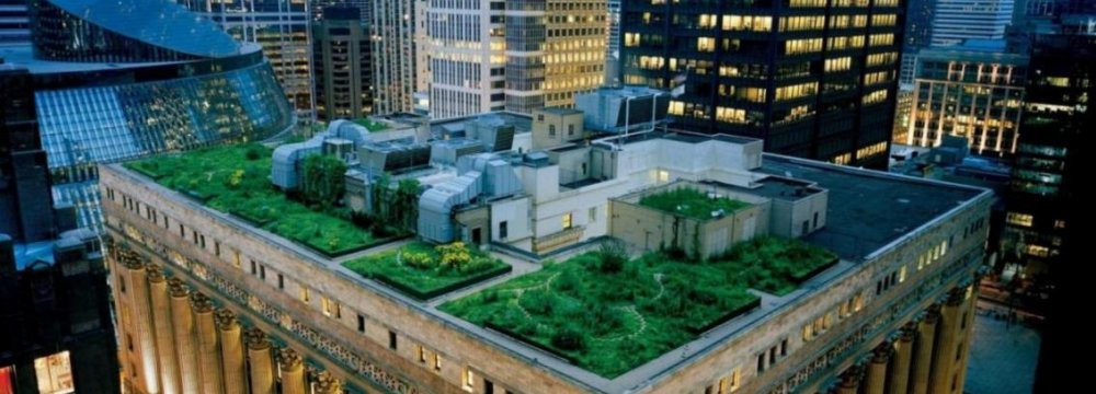Views of Grassy Rooftops Boost Concentration