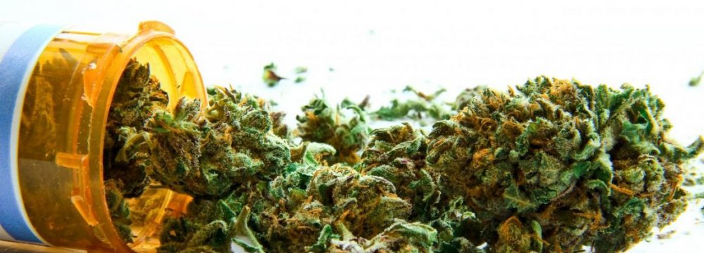 Marijuana Most-Used Drug in Europe