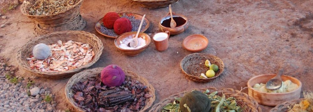 Studying Natural Dyes to Identify Ancient Plants