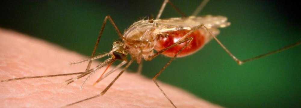 One Child Dies of Malaria Every Minute