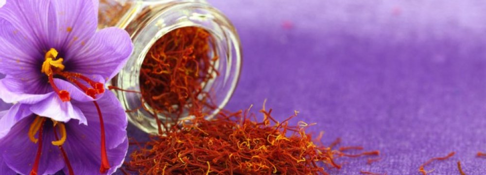 Stringent Quality Checks on Saffron