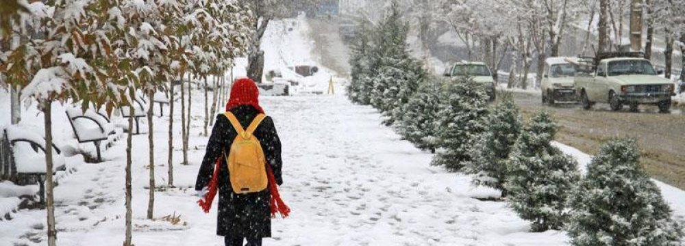 Snowfall  in Alborz  Province