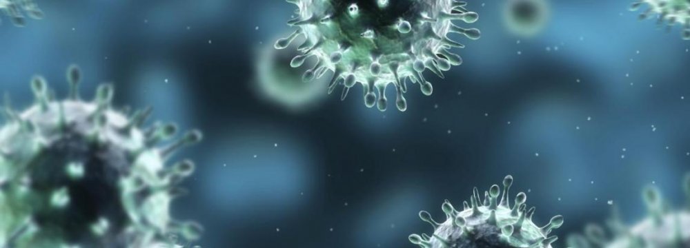 Swine Flu Toll Rises to 28 in Kerman 