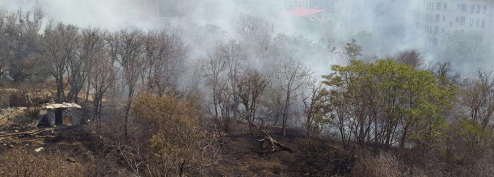 Tehran Gardens Razed for High Rises